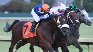 A Significant Value Play for the 2026 Prairie Meadows Cornhusker Handicap